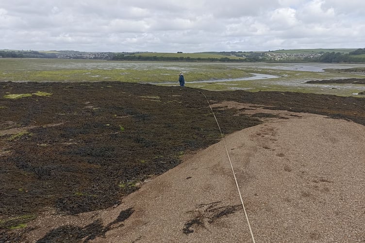 Saltstone High Shore. Picture: Nigel Mortimer